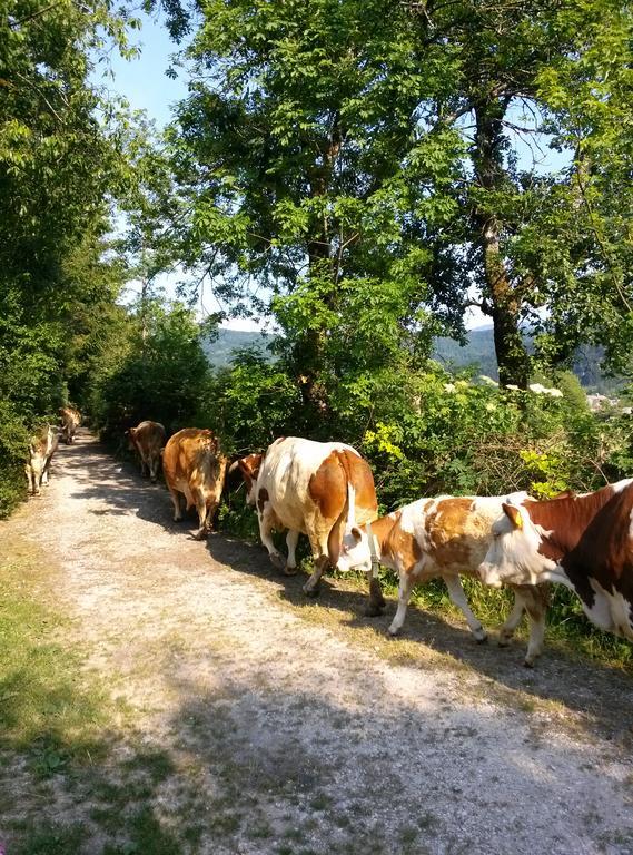 Apartmaji Matej Cvetek Bohinj Dış mekan fotoğraf